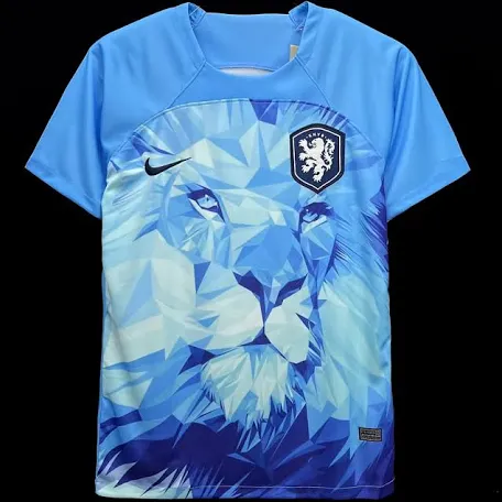 Maillot pays bas édition spéciale
